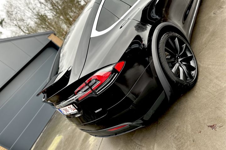 Tesla Model X 100D Dual Afbeelding 11