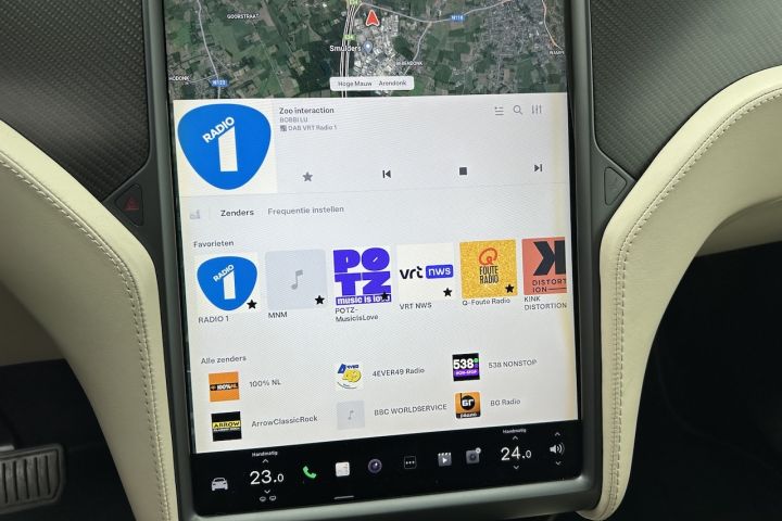 Tesla Model X 100D Dual Afbeelding 29