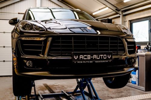 DSC01516 Large cut 01